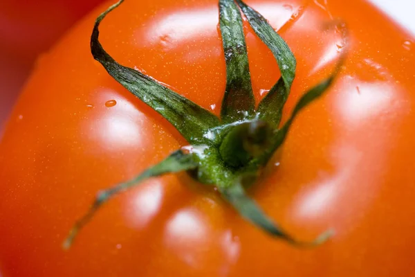 Tomato Water Drops Close — стоковое фото