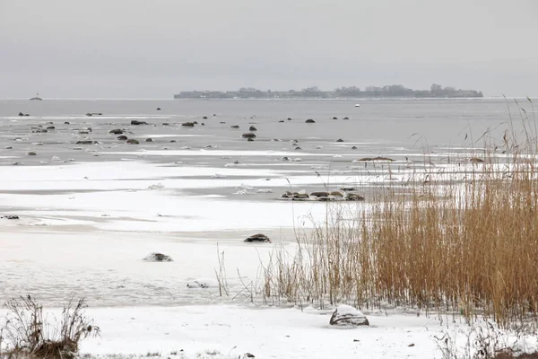 冬は凍った湖の海岸 — ストック写真