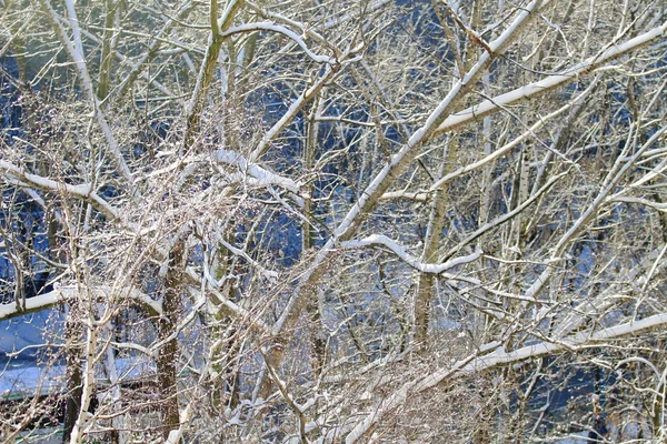 Karlı Manzara Rusya Kış — Stok fotoğraf