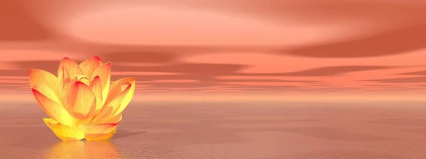 Giglio Arancia Fiore Oceano Simboleggiare Secondo Chakra — Foto Stock