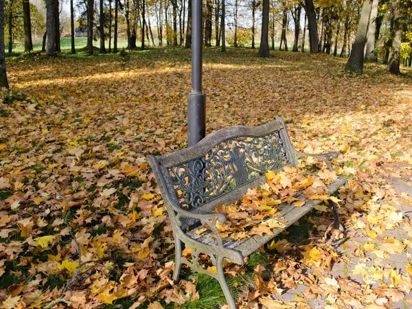 Retro Stål Bänk Höst Park Täckt Med Färgglada Löv — Stockfoto