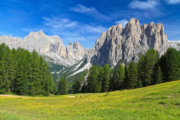 Paesaggio Estivo Delle Dolomiti Italiane Val Vaiolet Sullo Sfondo Monte — Foto Stock