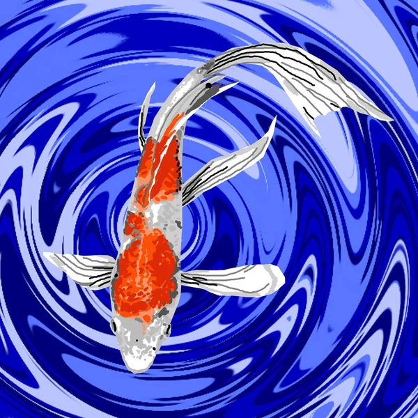 Een Prachtige Oranje Witte Vlinder Koi Die Sierlijk Een Visvijver — Stockfoto