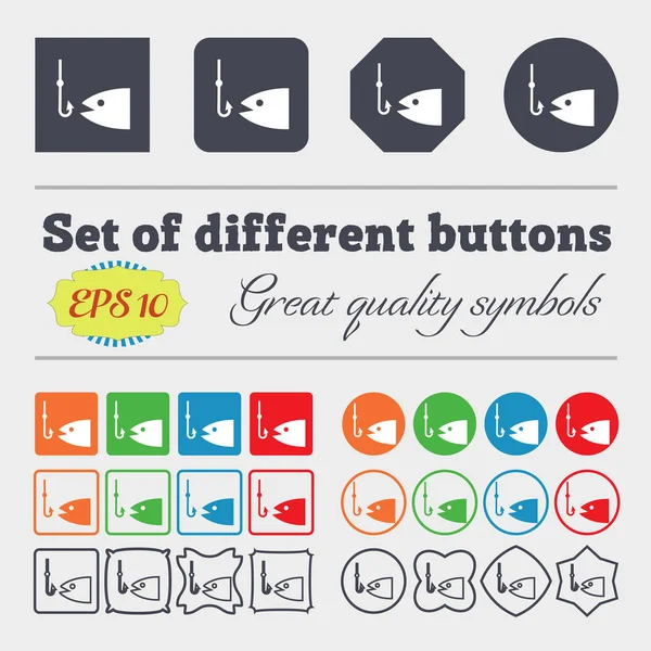 Fishing Icon Sign Big Set Colorful Diverse High Quality Buttons — Stock Photo, Image