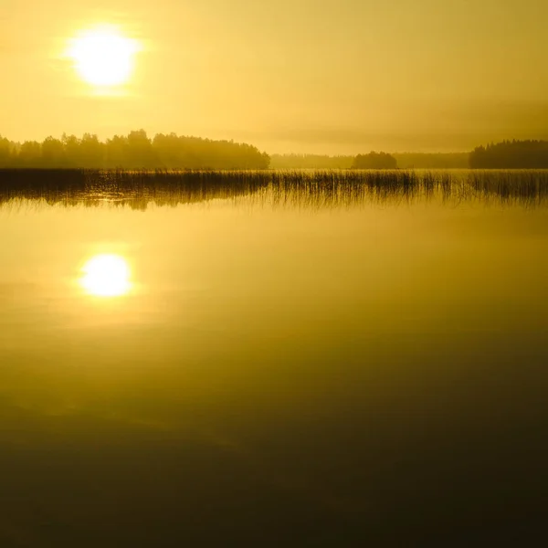 핀란드 동부의 호수에서 — 스톡 사진