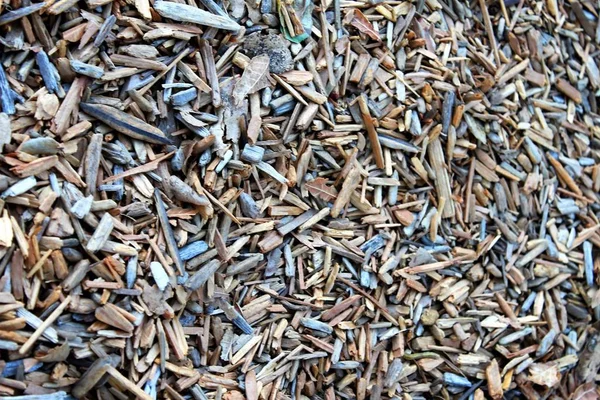 Kayu Chippings Pada Gound Taman Menutup Latar Belakang — Stok Foto