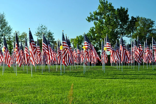 Bandiere Americane Tutte Fila — Foto Stock