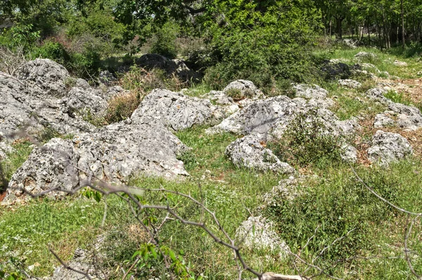 Dalmatská Suchá Skalnatá Krajina Jarní Době — Stock fotografie