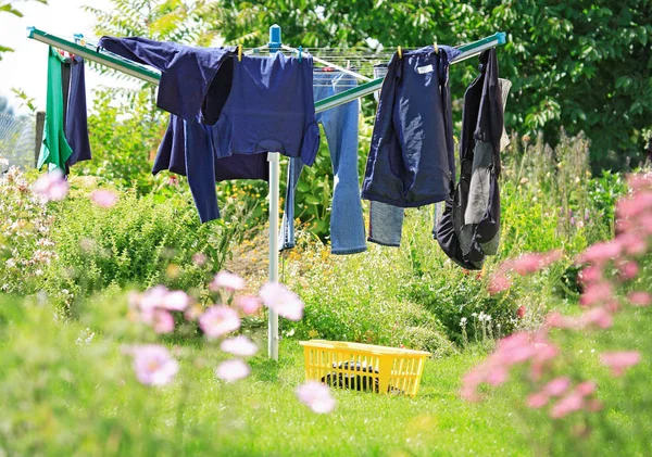 庭の衣服の空き家 — ストック写真