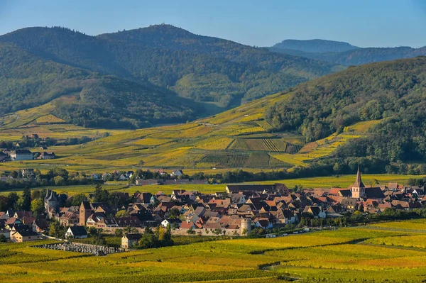 França Haut Rhin Alsace Wine Route Kaysersberg Vinha Igreja Sainte — Fotografia de Stock