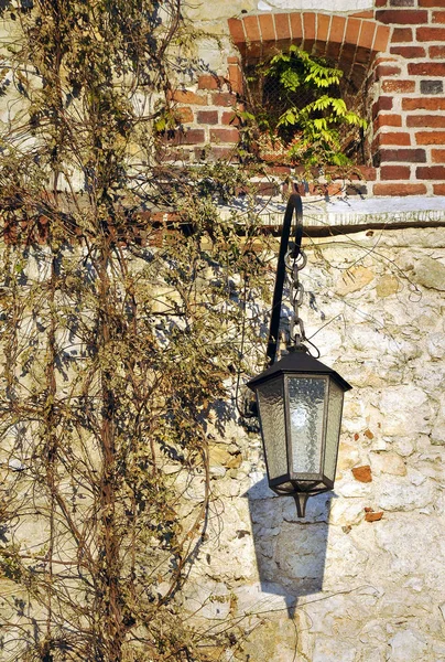 Alte Schwarze Straßenlaterne Aus Metall Der Mit Efeu Verkleideten Wand — Stockfoto