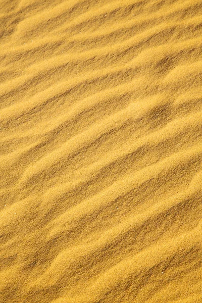 Duna Areia Marrom Deserto Sahara Morocco — Fotografia de Stock