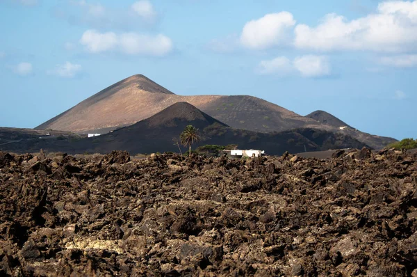 Typowa Lanzarote Sceneria Wulkaniczną Glebą Palmami Białymi Domami Górami Tle — Zdjęcie stockowe