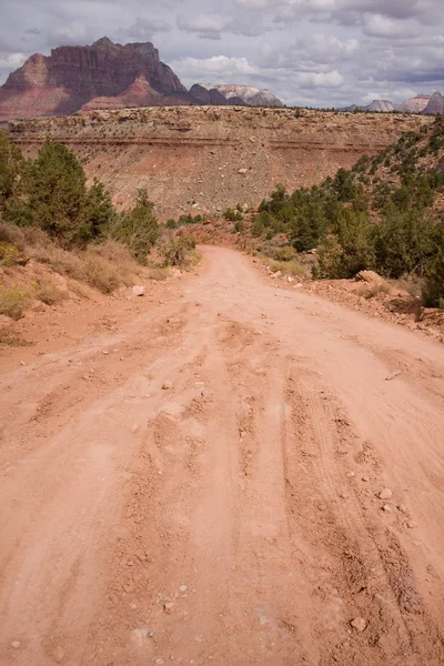 Wide Angle View Rugged Dirt Road Gooseberry Mesa Mountains Zion — Stock Photo, Image