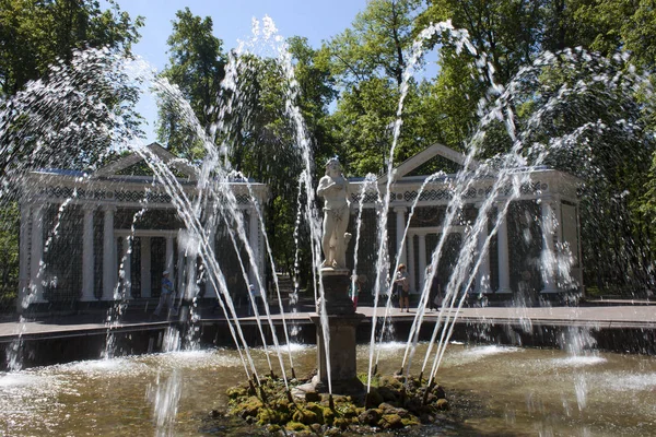 Fontän Adam Park Peterhof Sankt Petersburg Ryssland — Stockfoto