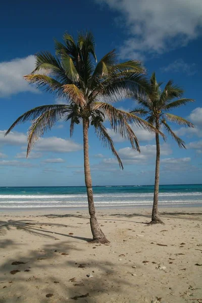 Vacker Tropisk Scen Kuba — Stockfoto