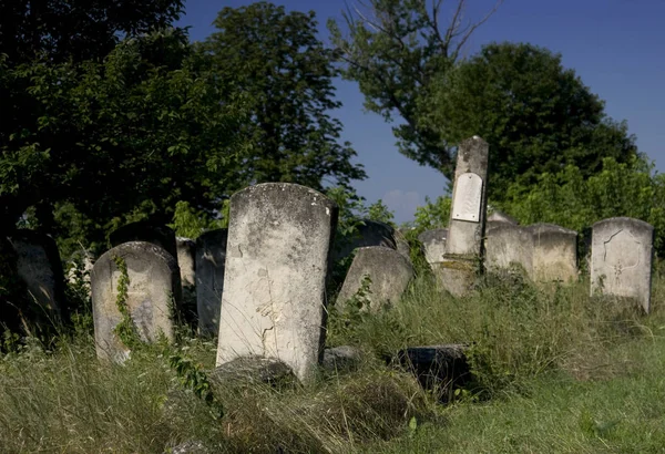 Old Tombs Jewish Cemetery Iasi Romania — Stock Photo, Image