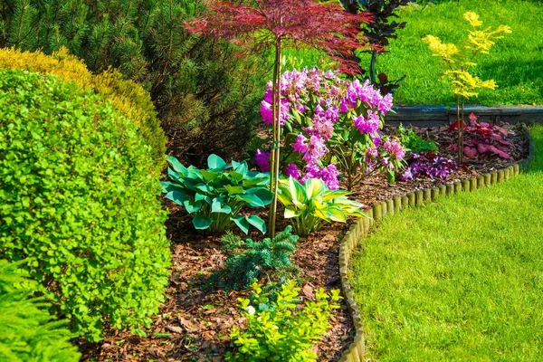 Rockery Garden Primer Plano Patio Pequeño Jardín Rocoso Con Flores —  Fotos de Stock