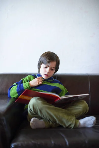 Criança Livro Sentado Sofá — Fotografia de Stock