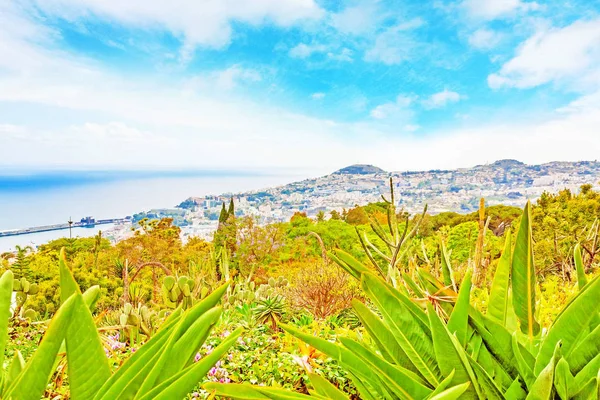 Vue Panoramique Sur Funchal Madère Portugal Avec Son Port — Photo