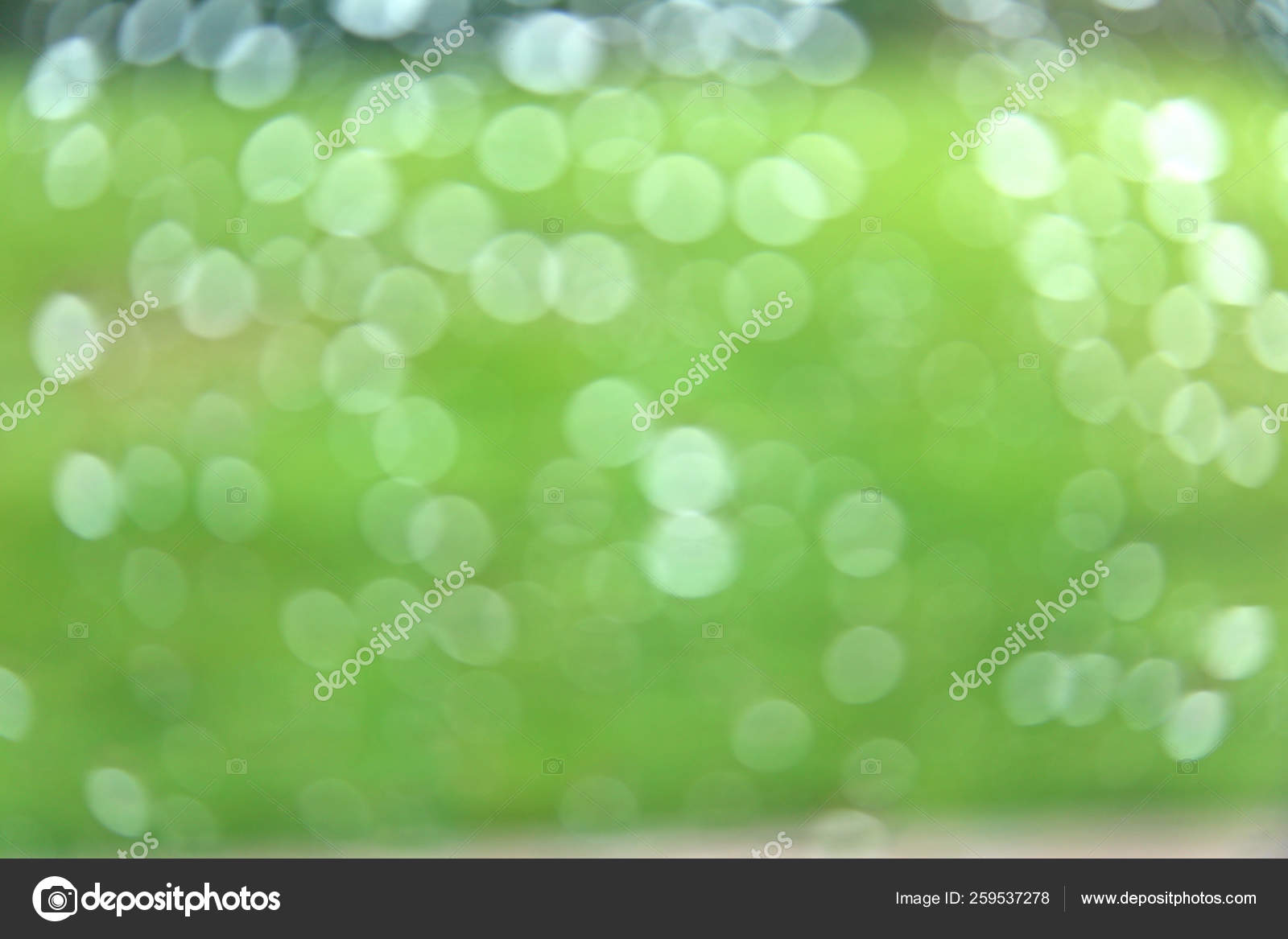 Verde Desfocado Fundo Bokeh Stock Photo C Yayimages 259537278