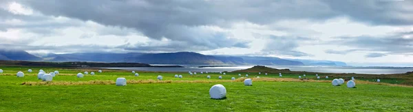 Μπάλες Σανό Λευκό Πλαστικό Στο Λιβάδι Ισλανδία Πανόραμα — Φωτογραφία Αρχείου