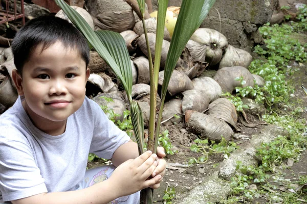 Dziecko Trzymające Sadzenie Kokosa Metafora Dla Inwestycji Przyszłości — Zdjęcie stockowe