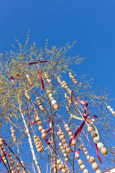 Árvore Páscoa Céu — Fotografia de Stock