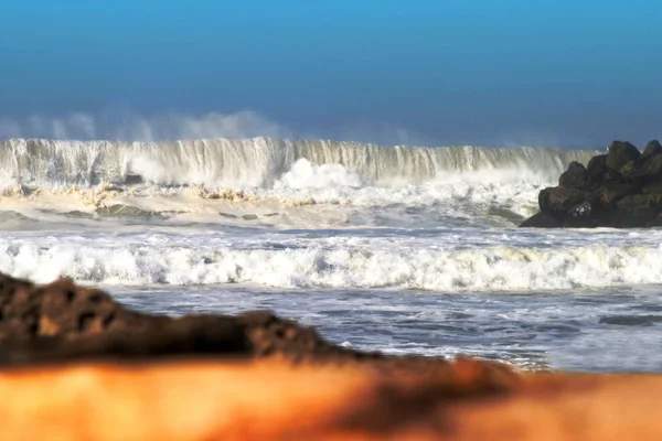 Deriva Madeira Com Ondas Oceano Tempestuoso Fundo — Fotografia de Stock