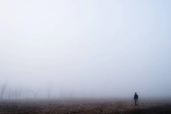 Camminando Nella Nebbia — Foto Stock