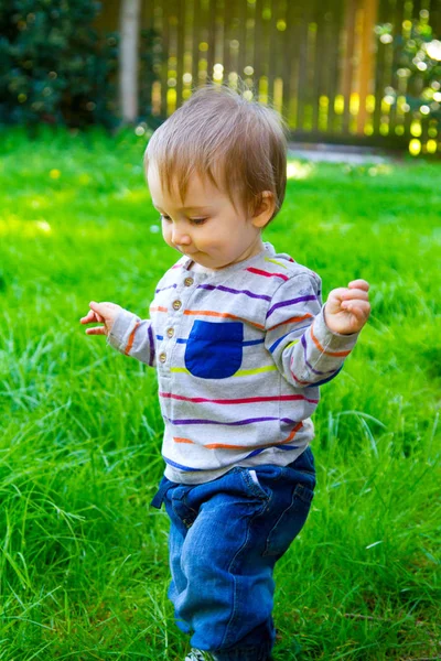 Любопытный Однолетний Мальчик Исследует Задний Двор Играет Интересными Вещами Среди — стоковое фото