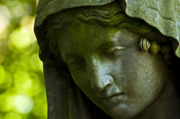 Detalle Una Antigua Lápida Mármol Antiguo Cementerio Bonn —  Fotos de Stock