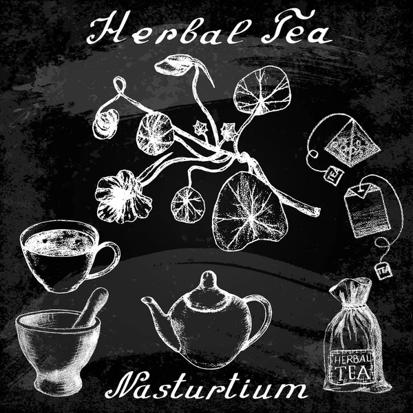 Nasturtium Elle Çizilmiş Kroki Botanik Illüstrasyon Mutfak Eşyaları Çay Için — Stok fotoğraf