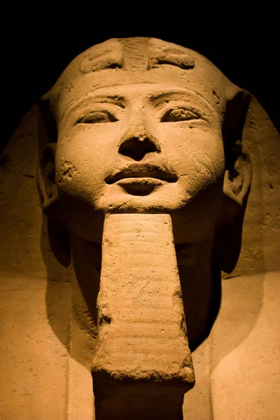 Estatua Museo Egipcio Turín Segundo Mundo Después Del Museo Cairo — Foto de Stock