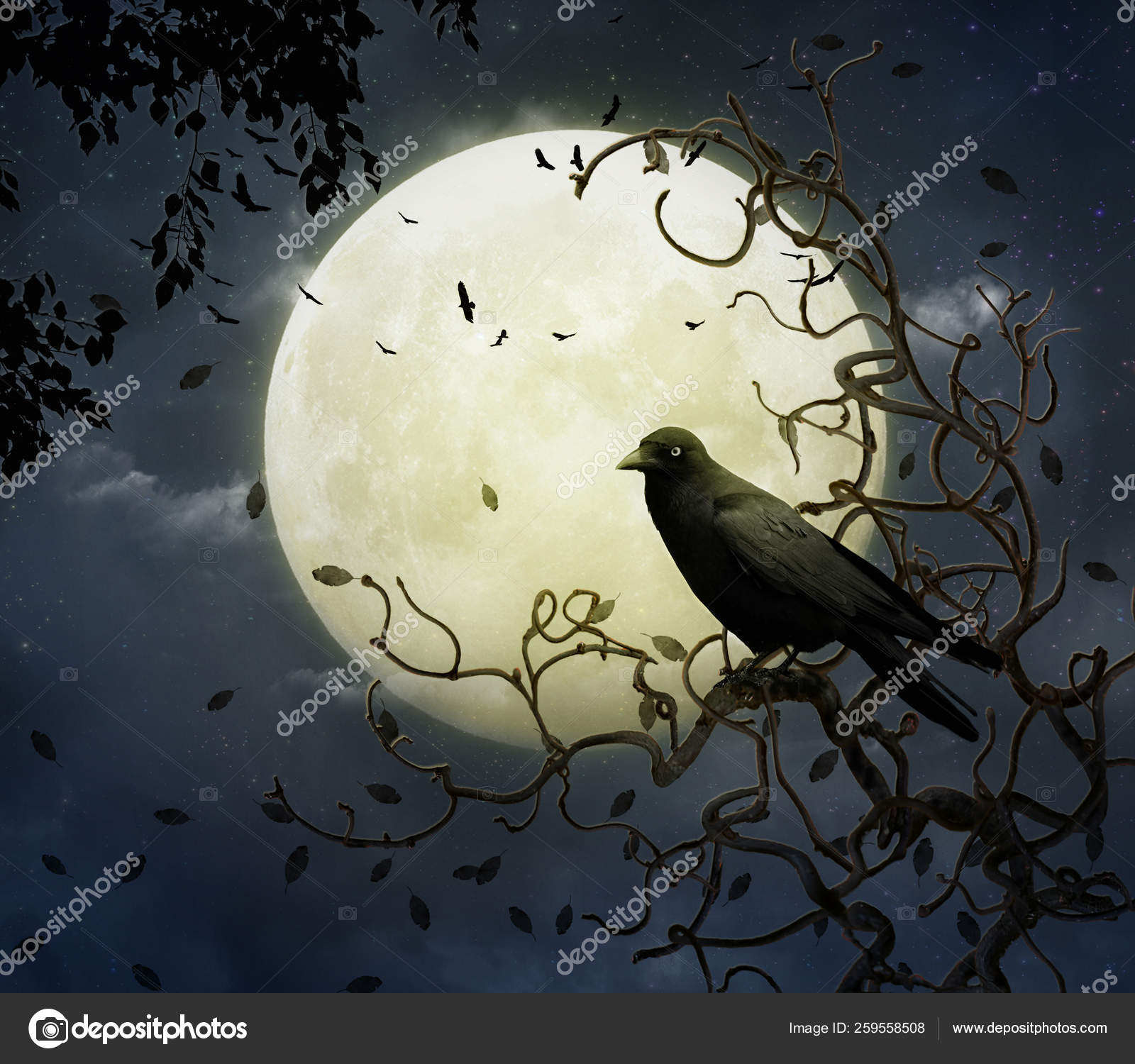 Night Full Moon Crow Tree — Stock Photo © YAYImages 259558508