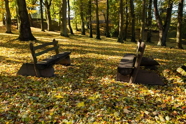 Träbänk Parken Nedfallna Löv Bakgrund — Stockfoto