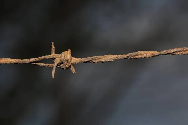 Nahaufnahme Aus Rostigem Stacheldraht — Stockfoto