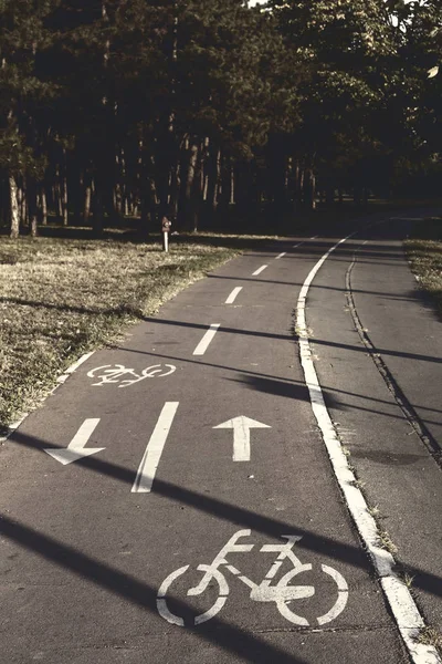 Carril Bici Parque Con Signo Bicicleta —  Fotos de Stock