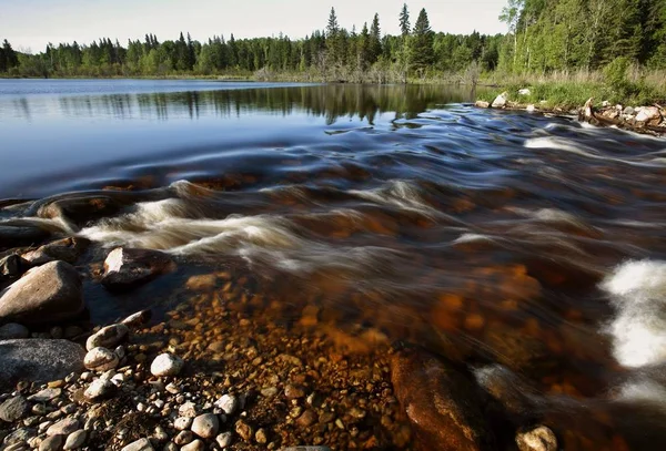 Peepaw River Rapids Natursköna Saskatchewan — Stockfoto