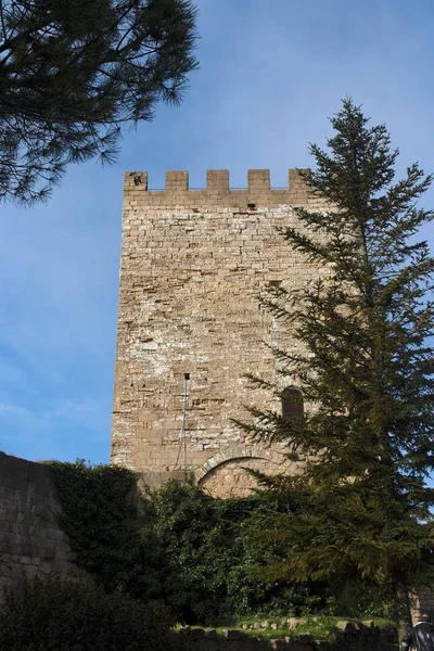 Torre Del Castillo Medieval Castello Lombardia Enna Sicilia Italia — Foto de Stock