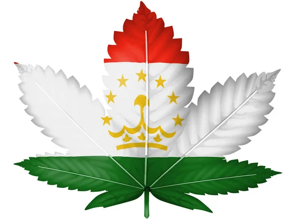 Флаг Таджикистана Нарисованный Конопле Листке Марихуаны — стоковое фото