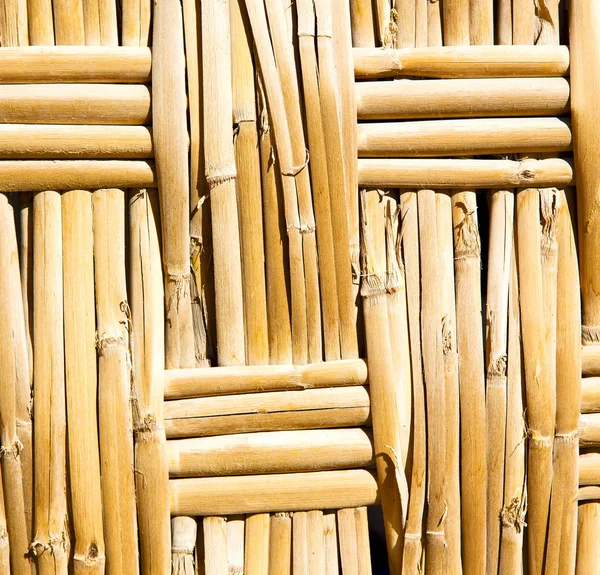 Tekstura Bambusa Maroko Afryka Brązowy Naturalnej Linii Zbliżenie — Zdjęcie stockowe