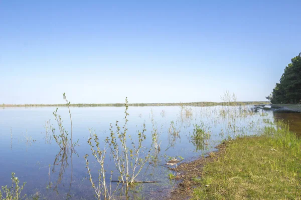 Nehri Taştı Tüm Taşkın Yatağının Bölümü Sular Altında — Stok fotoğraf