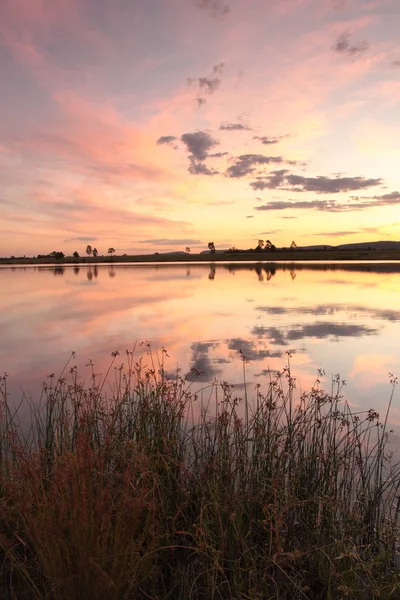 Lake Side Reflections Duralia Lake Penrith Foreground Long Grasses — Stock Photo, Image