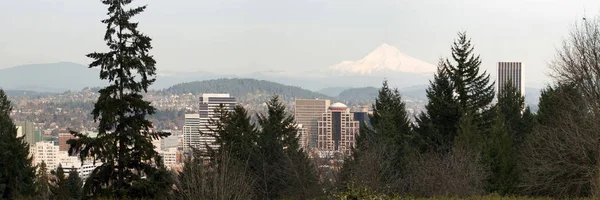 Portland Oregon Downtown Cityscape Bland Träden Med Berget Hood Panorama — Stockfoto
