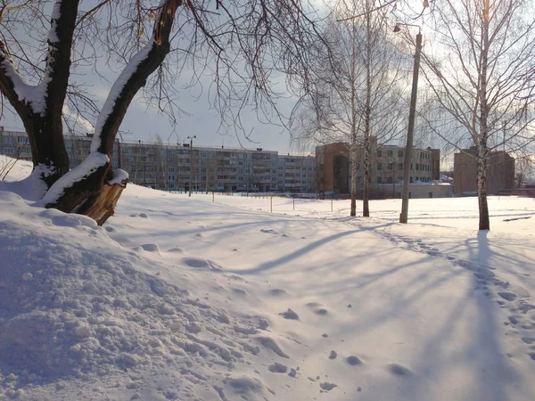 Superficie Plana Cubierta Nieve Árboles Secos Soleado Día Invierno Frío — Foto de Stock