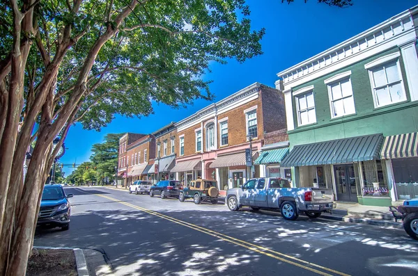 Histórico Blanco Rosa Ciudad York Sur Carolina — Foto de Stock