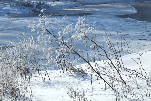 Landsbygdens Vinterlandskap Frozen River Skogen — Stockfoto