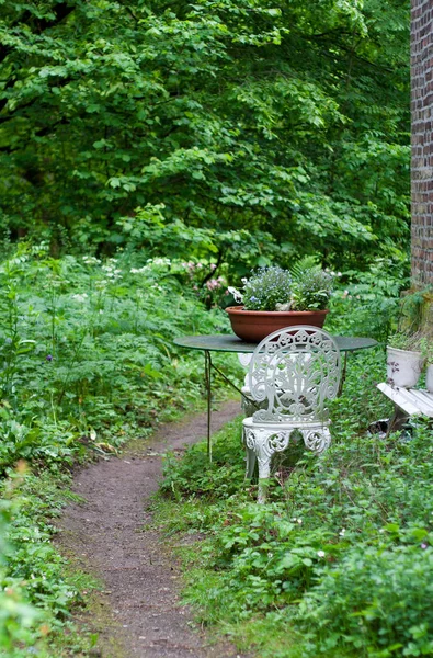 Olika Anläggningar Selektivt Fokus — Stockfoto