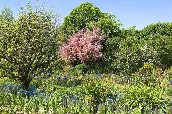 Giardino Fiori Colorati Nella Campagna Del Sud Della Francia — Foto Stock